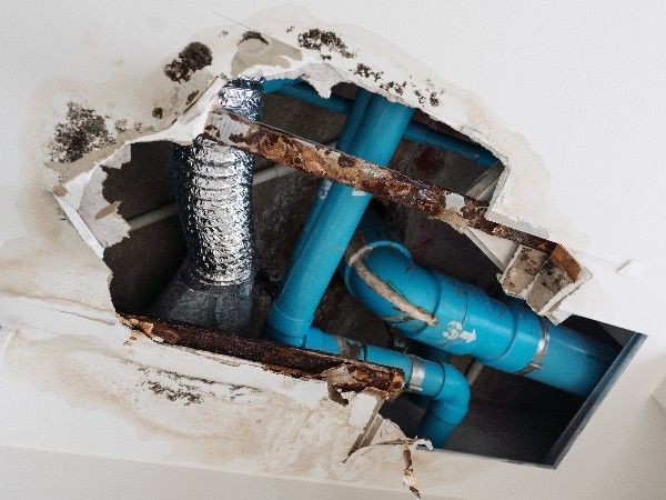 The 6 signs that you’ve got a ‘problem property’