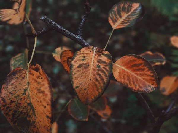 Slow sales, no sales: autumn’s new vendor frustrations